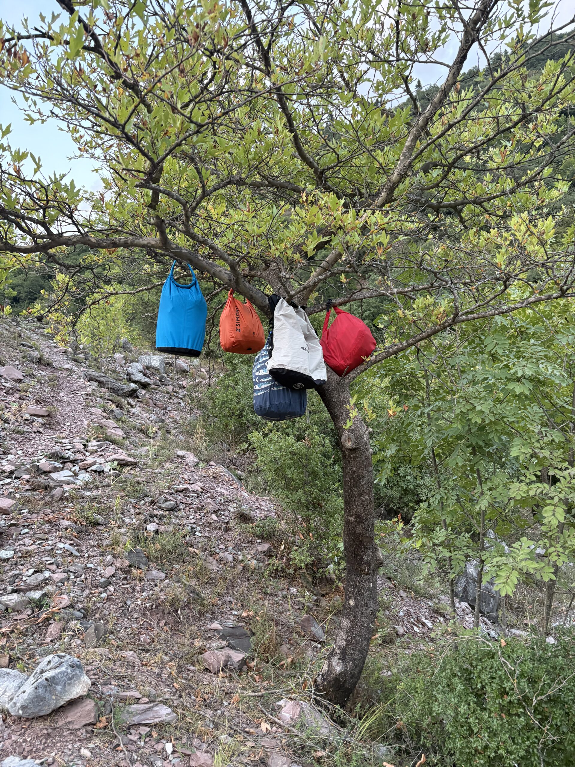 La nourriture est suspendue aux arbres dans des sacs pour la protéger des ours.