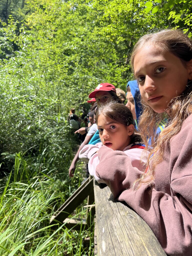 Des louveteaux alignés sur un pont en bois