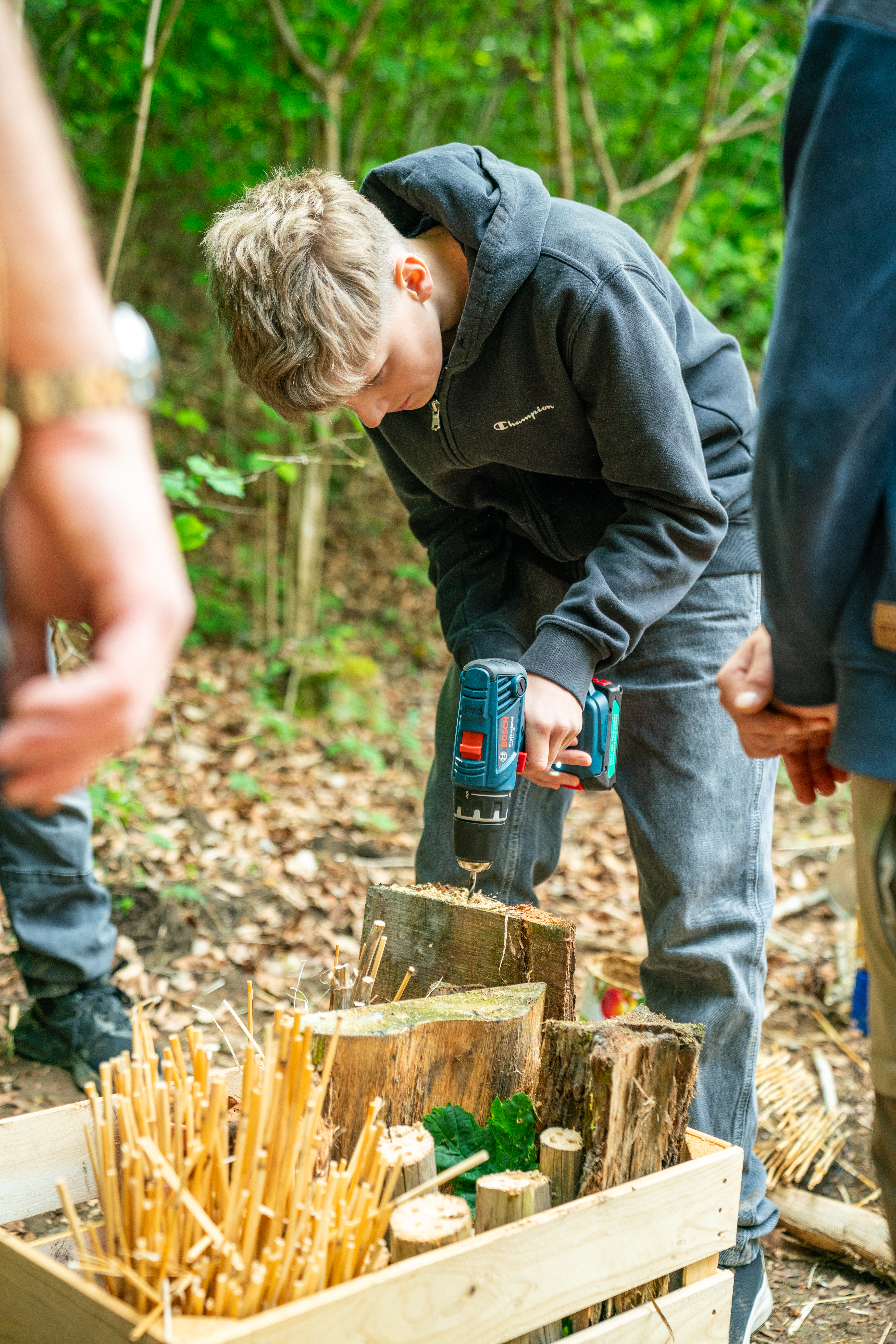 Bau einer Nisthilfe für Insekten. Etappe: «Löcher in einen Holzscheit bohren».