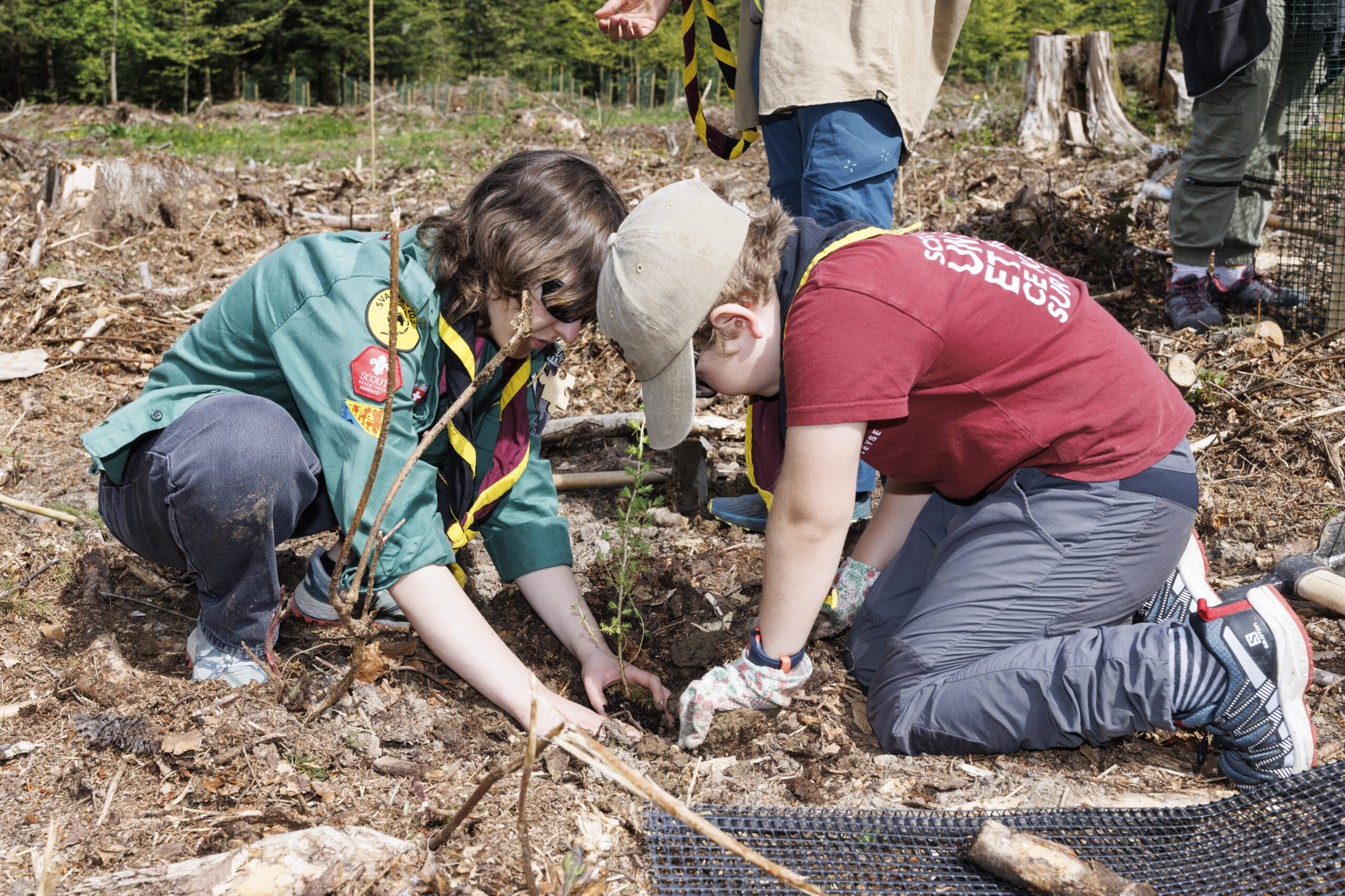 Handarbeit: Anpflanzen eines Gemüsebeets