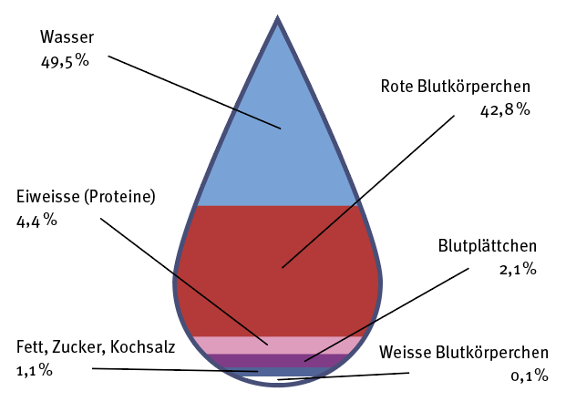 Die Bestandteile des Blutes.