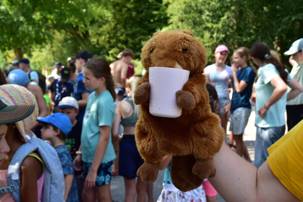 Aqua scout à Lenzbourg : le castor aussi a soif par cette chaleur.